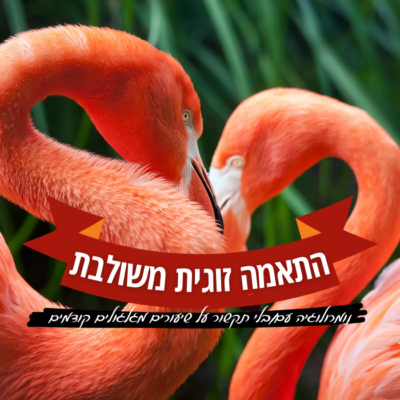 שתי מפות נומרולוגיות לבדיקת התאמה זוגית