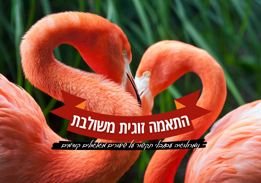 שתי מפות נומרולוגיות לבדיקת התאמה זוגית